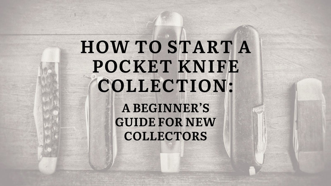 folding knife display case with collectible knives