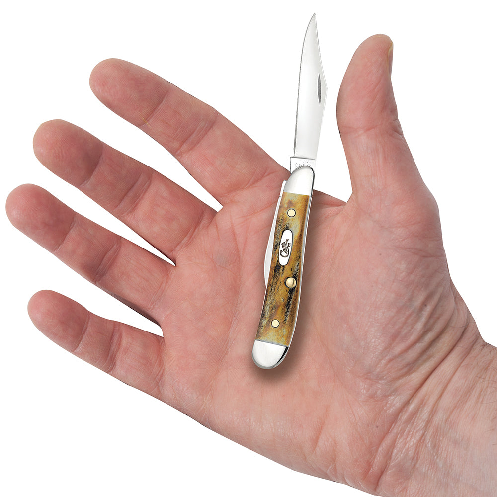 Case 00048 Peanut pocket knife with genuine Sambar stag handle and nickel silver bolsters — ClassicBlades