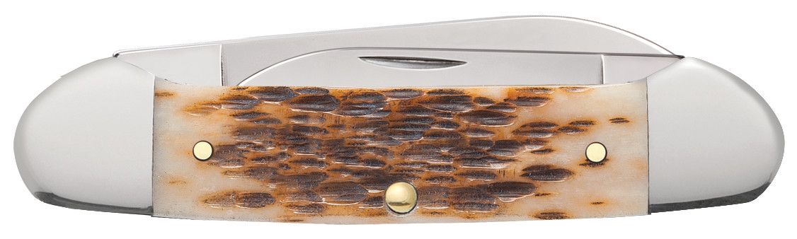 Case 00263 Canoe peach seed jigged amber bone handle detail with oval nickel silver script inlay — ClassicBlades