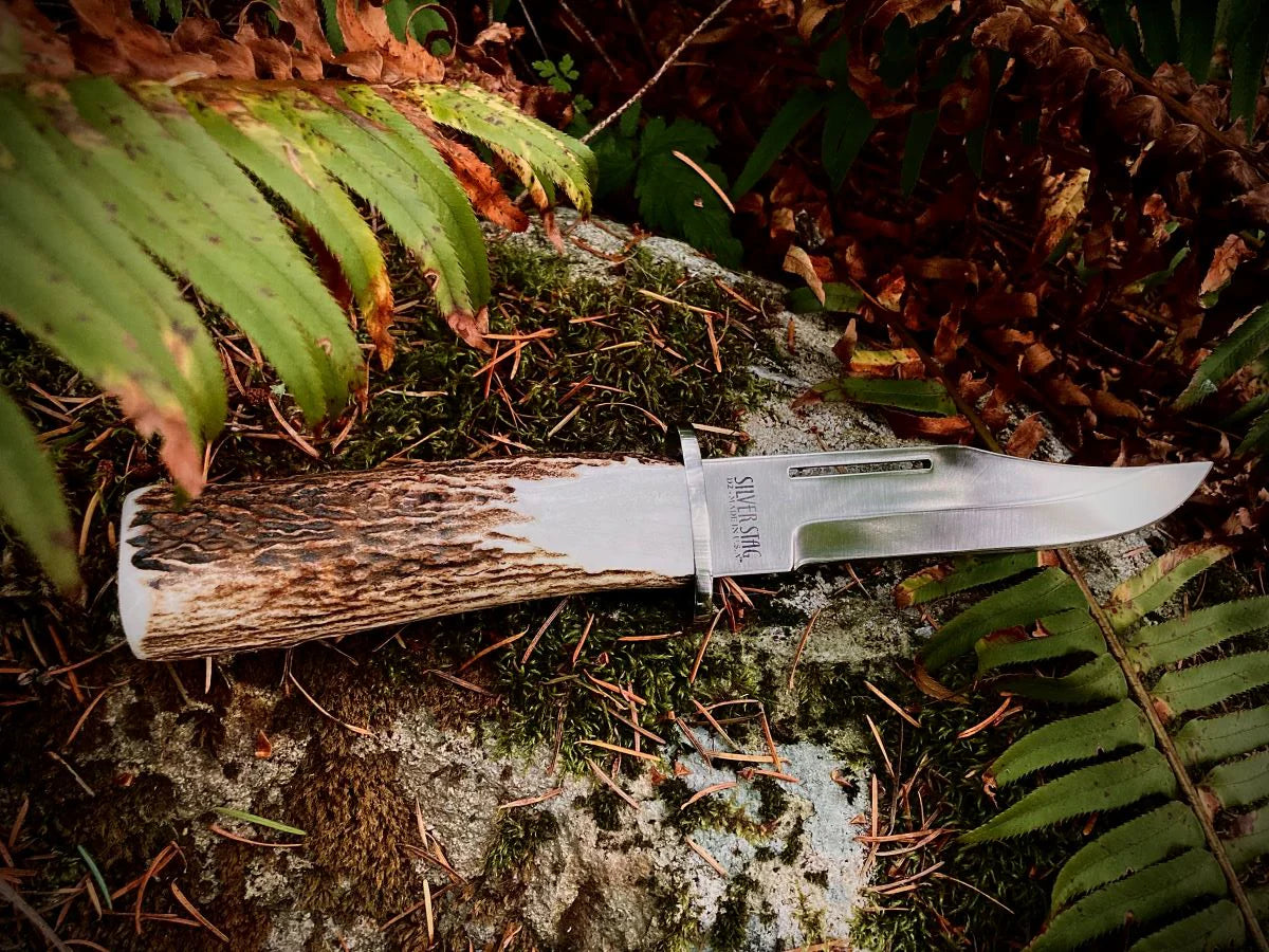 Silver Stag DV6.0ES Deep Valley elk stick antler handle showing hand shaped and polished natural antler beam grain — ClassicBlades