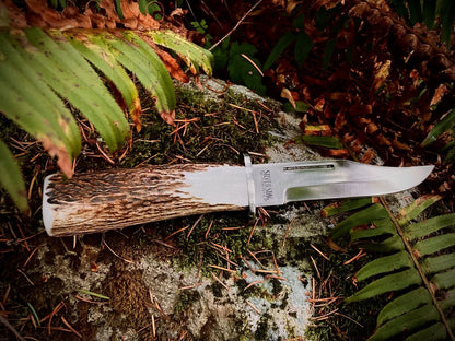 Silver Stag DV6.0ES Deep Valley elk stick antler handle showing hand shaped and polished natural antler beam grain — ClassicBlades