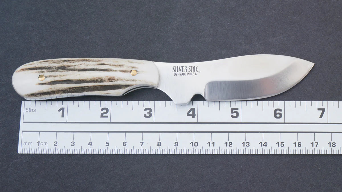 Silver Stag WC3000 Whitetail Caper 2.75 inch D2 tool steel caper blade at 60 HRC hardness detail — ClassicBlades